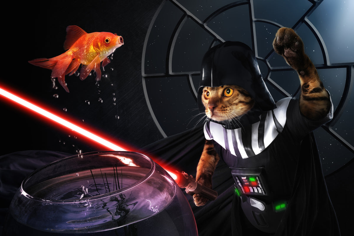 3-piece-canvas-print-darth-sushi
