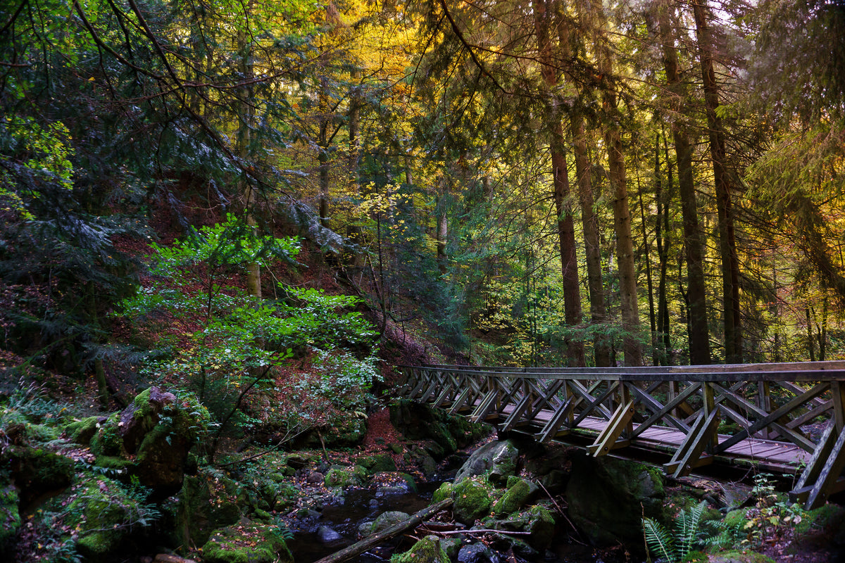 3-piece-canvas-print-the-forest-bridge