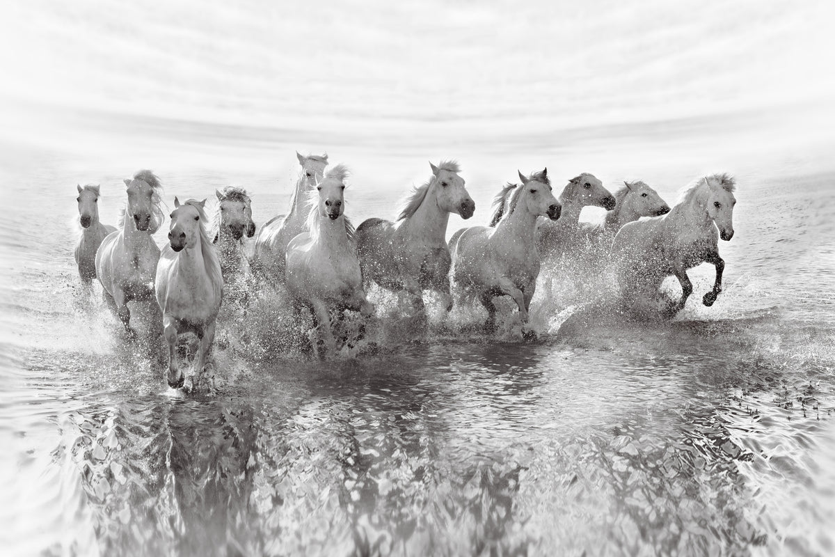 canvas-print-illusion-of-power
