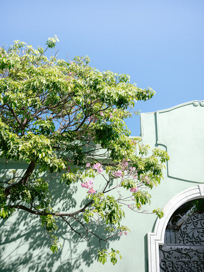 poster-print-pastel-oaxaca-architecture-mexico-travel-photography