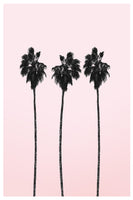 canvas-print-three-tall-palms