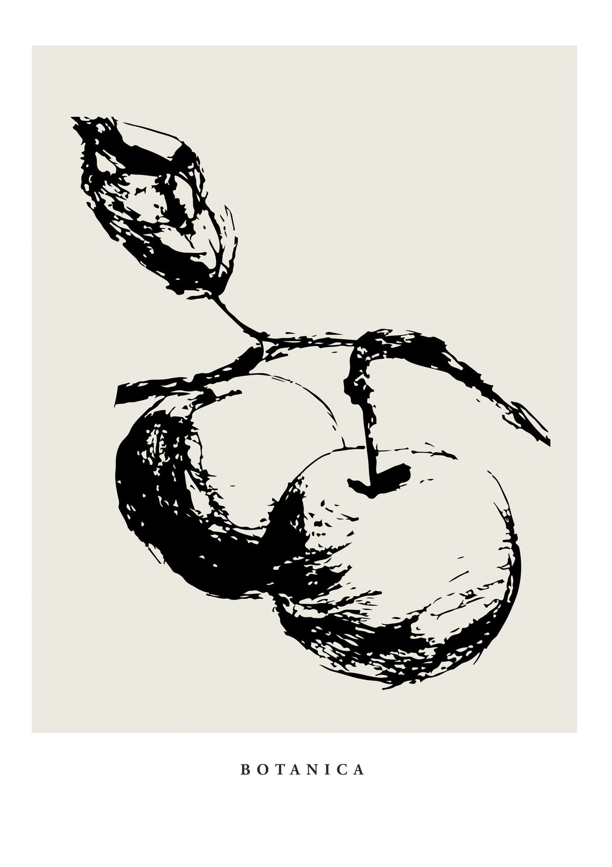 framedposter-print-botanicalineno27