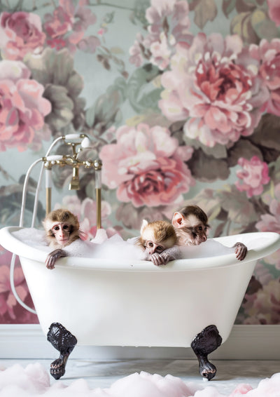 poster-print-blossom-bath