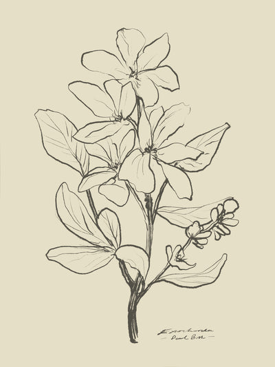 poster-print-floral-1
