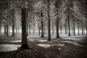 3-piece-acrylic-print-the-onset-of-winter