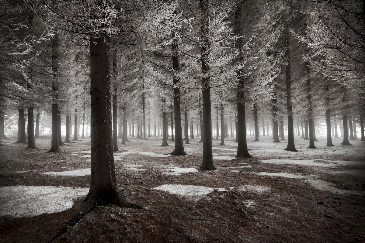 3-piece-acrylic-print-the-onset-of-winter