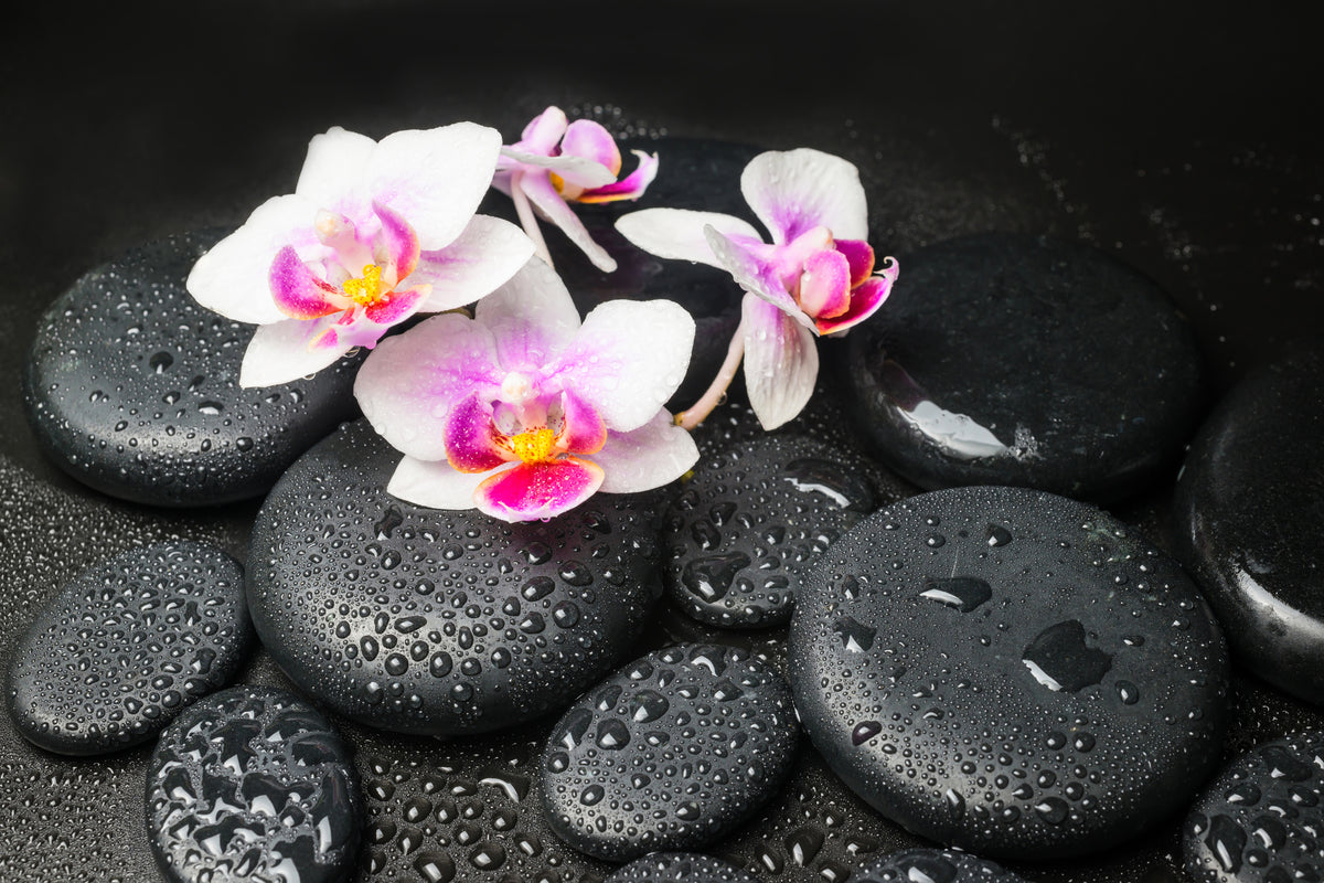 modern-3-piece-canvas-print-feng-shui-orchid-zen