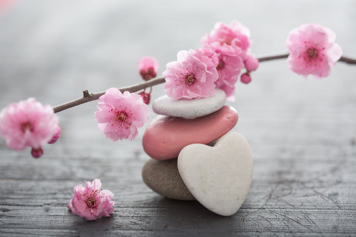 framedcanvas-print-fleurs-zen