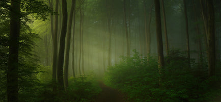 canvas-print-away-from-city-strife