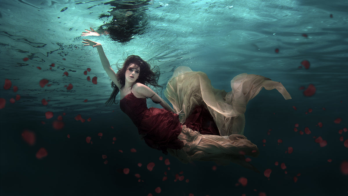 5-piece-aluminium-print-ocean-of-roses