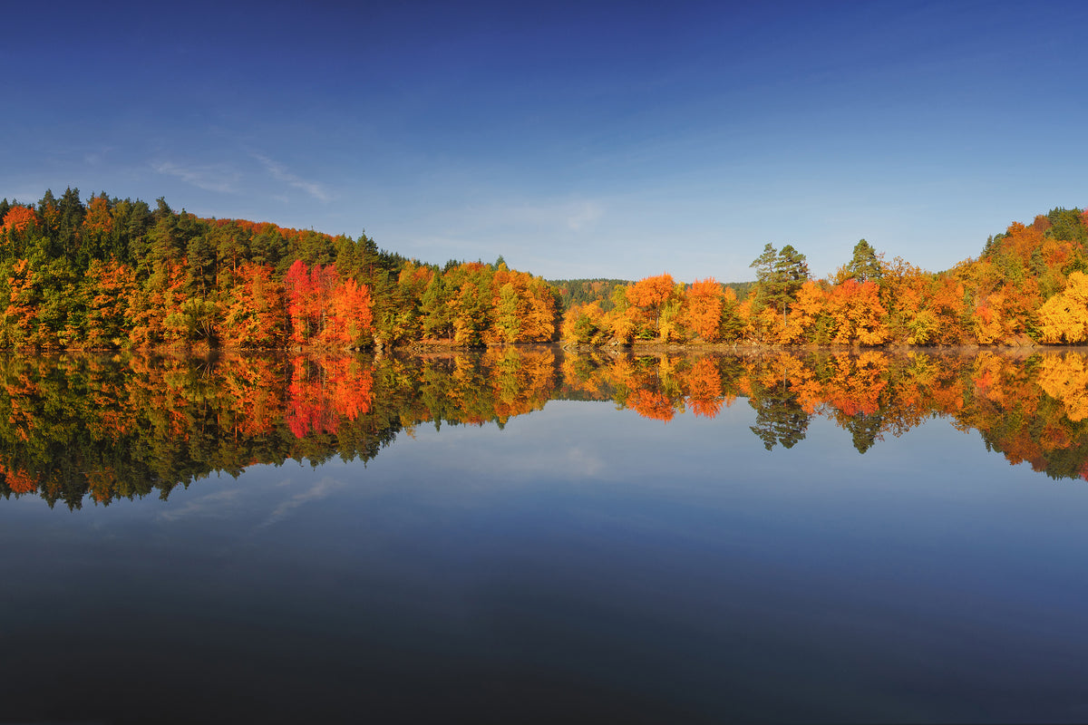 framedcanvas-print-autumn-ii
