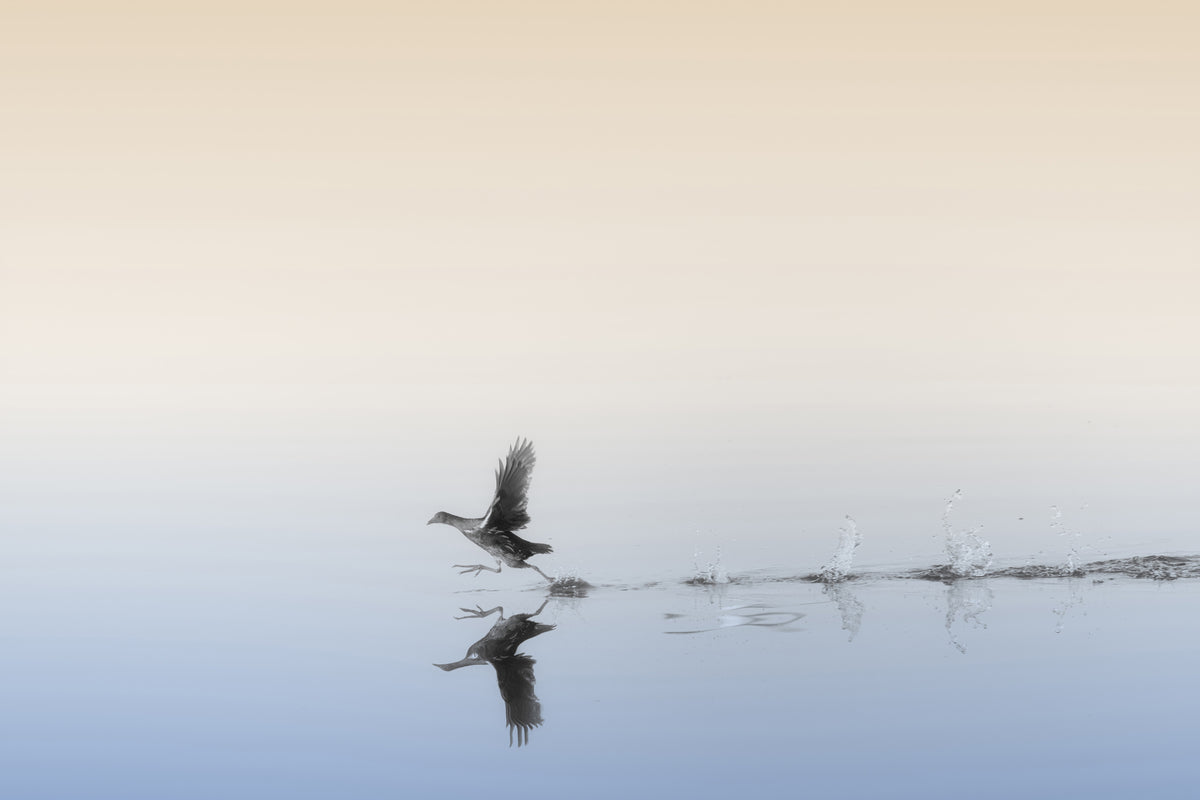 canvas-print-untitled-xlv