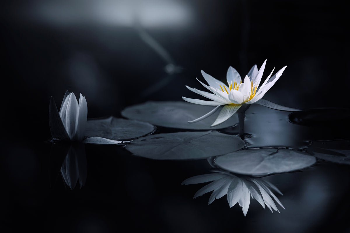 acrylic-print-reflection-iv