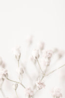 aluminium-print-pink-small-flowers