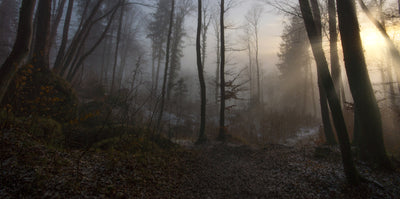 poster-print-winters-slight-return