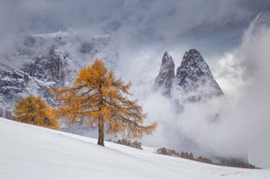 framedposter-print-between-seasons-x