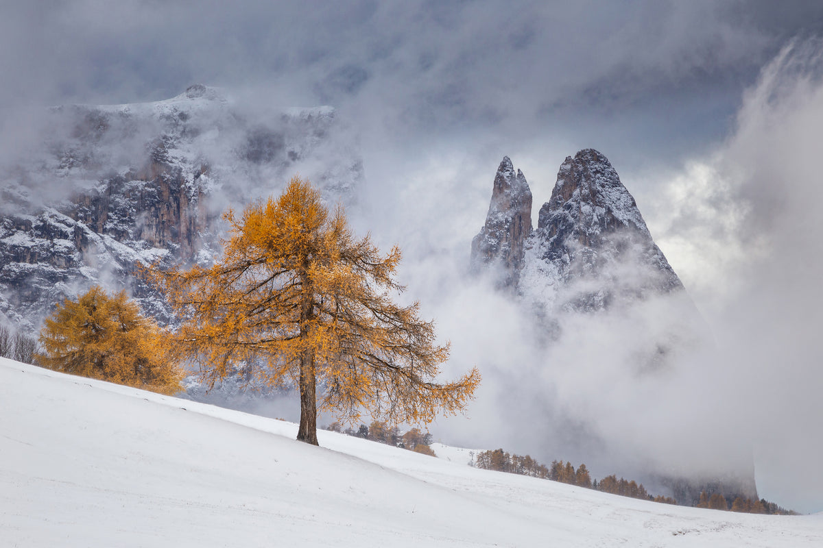 framedposter-print-between-seasons-x