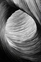 aluminium-print-zebra-architecture-in-motion