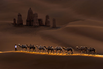 poster-print-castle-and-camels