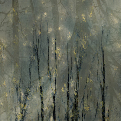 poster-print-bald-trees