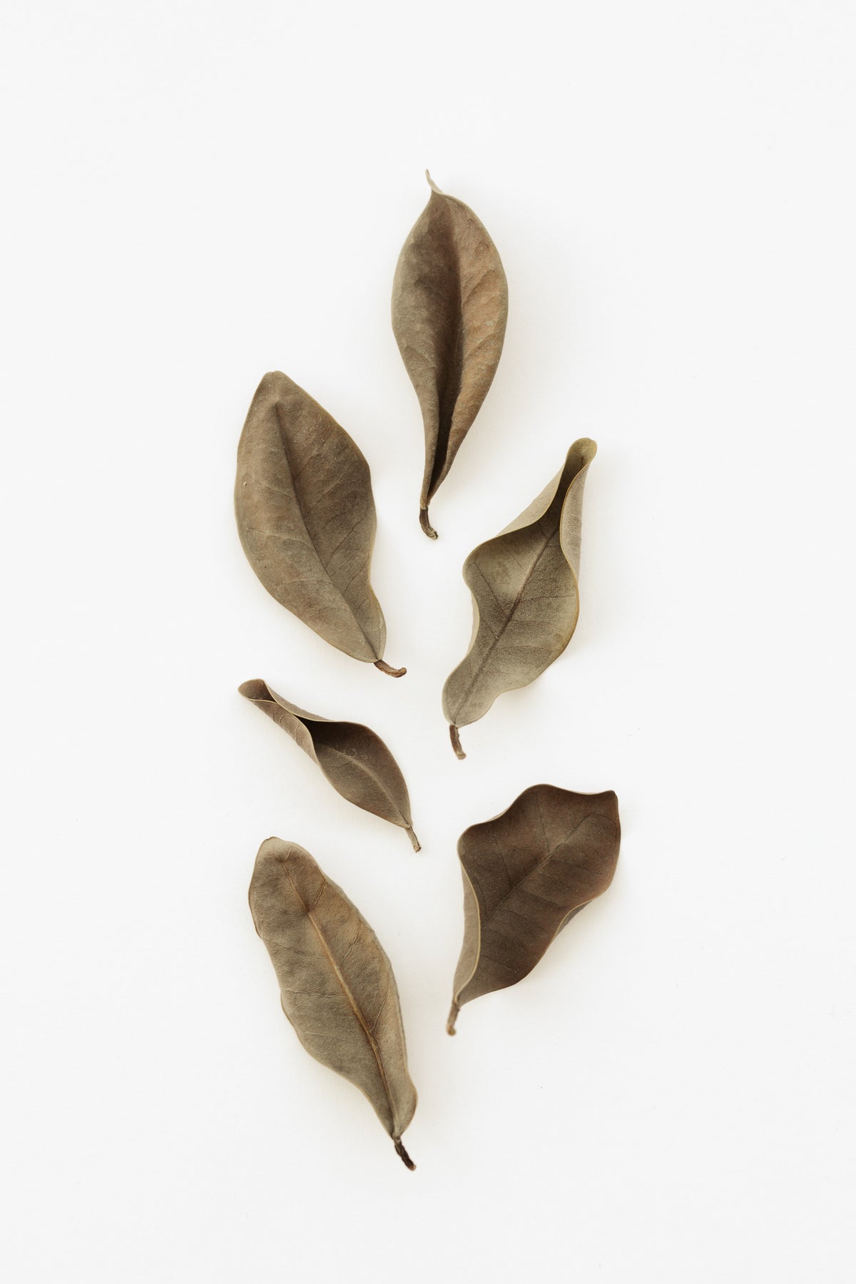 canvas-print-dried-leaves-2