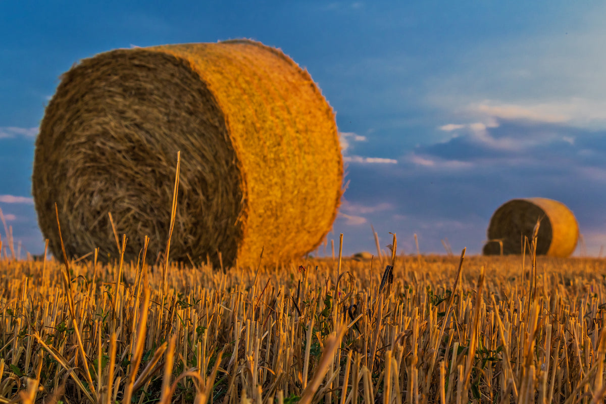 3-piece-acrylic-print-straw-bales