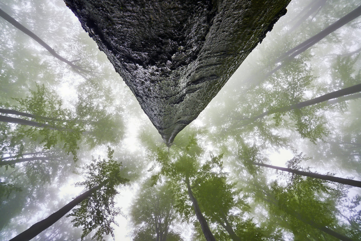 3-piece-canvas-print-looking-up-4