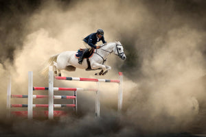 framedcanvas-print-white-horse-x