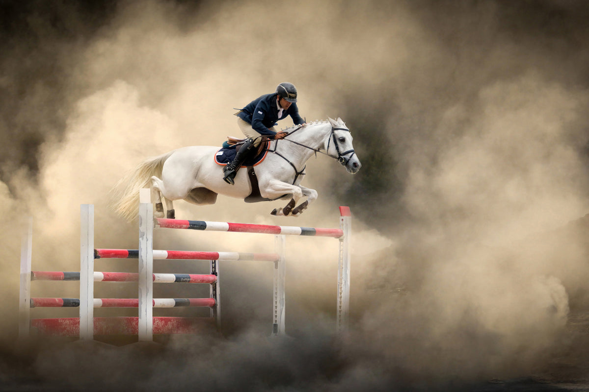 framedcanvas-print-white-horse-x