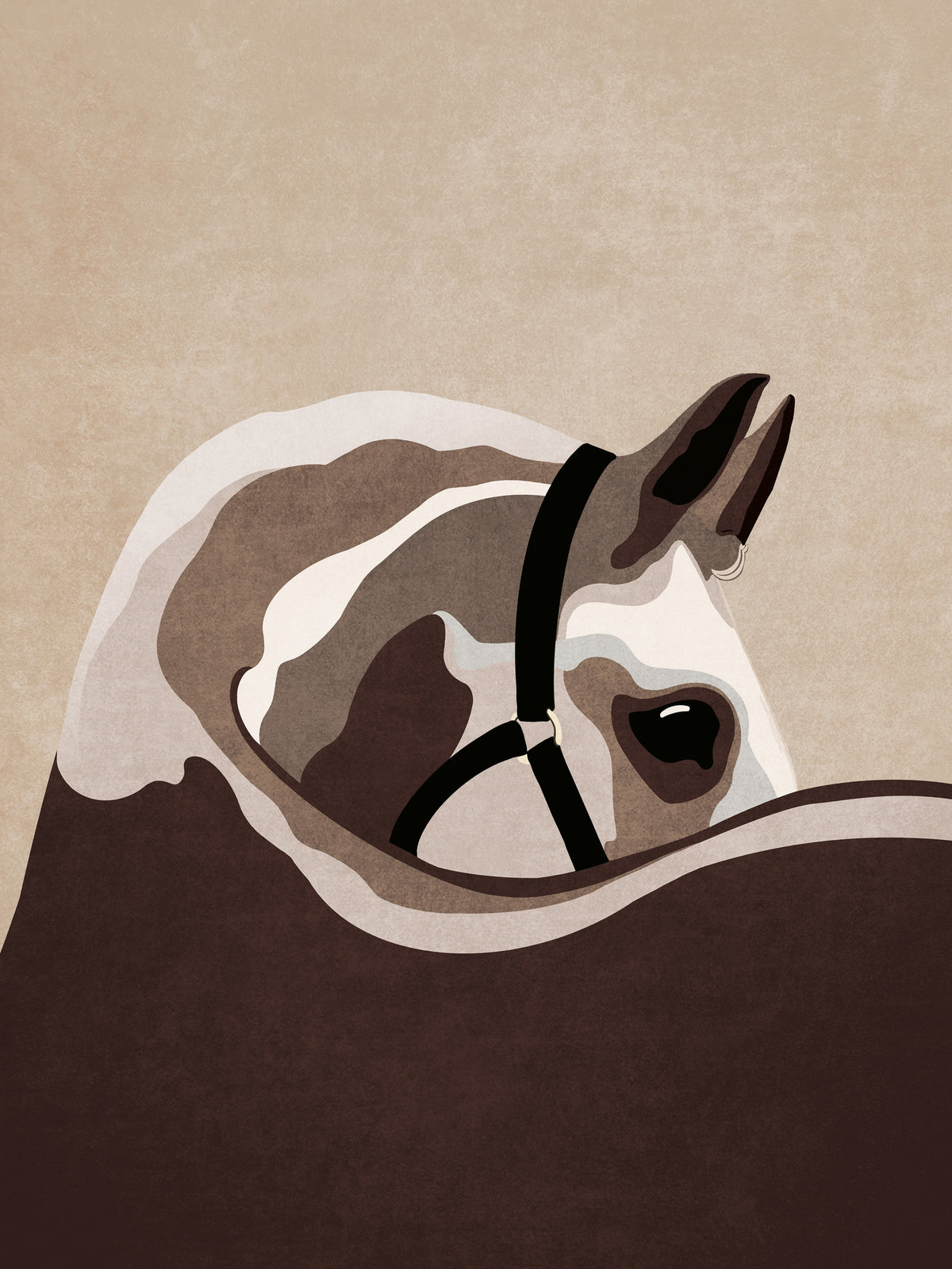 canvas-print-majestic-equine-gaze
