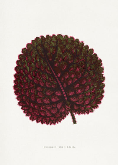 poster-print-nature-in-painted-harmony
