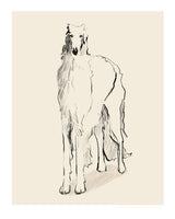 aluminium-print-borzoi-russian-wolfhound-pandc