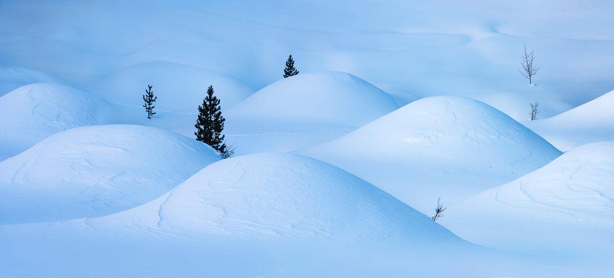 acrylic-print-snow-bumps-and-trees