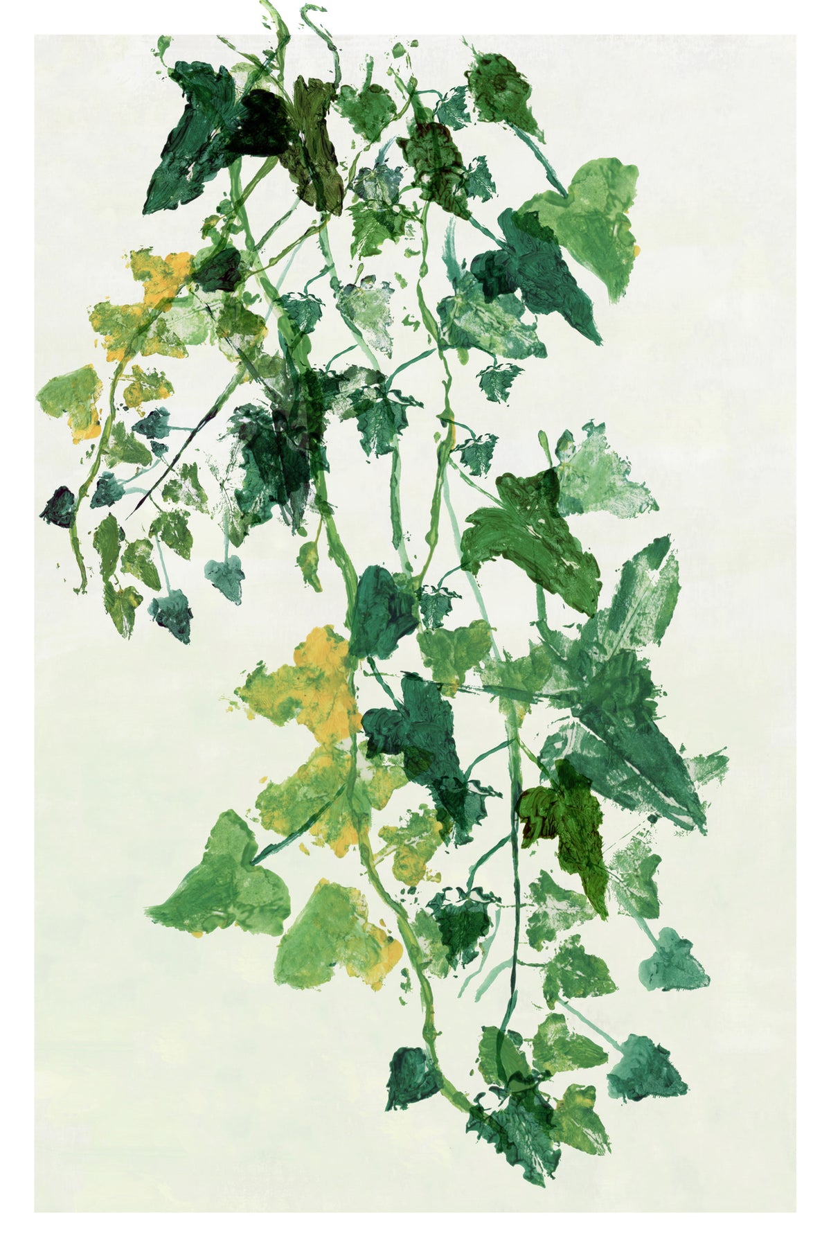 acrylic-print-trailing-greens
