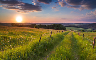 modern-3-piece-canvas-print-sunset-trail-germany-hill
