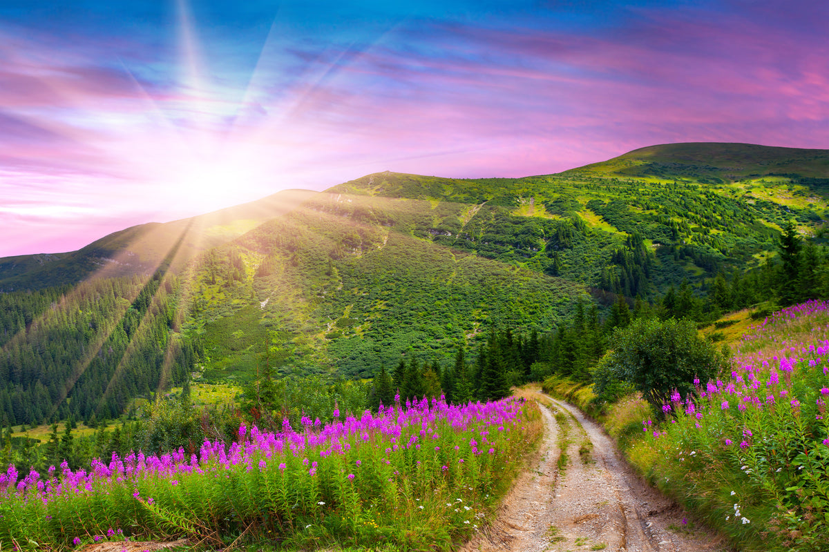 framedposter-print-a-summer-landscape-at-sunrise