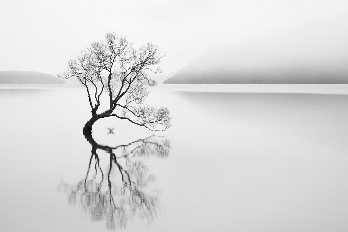 framedposter-print-serenity-xqn