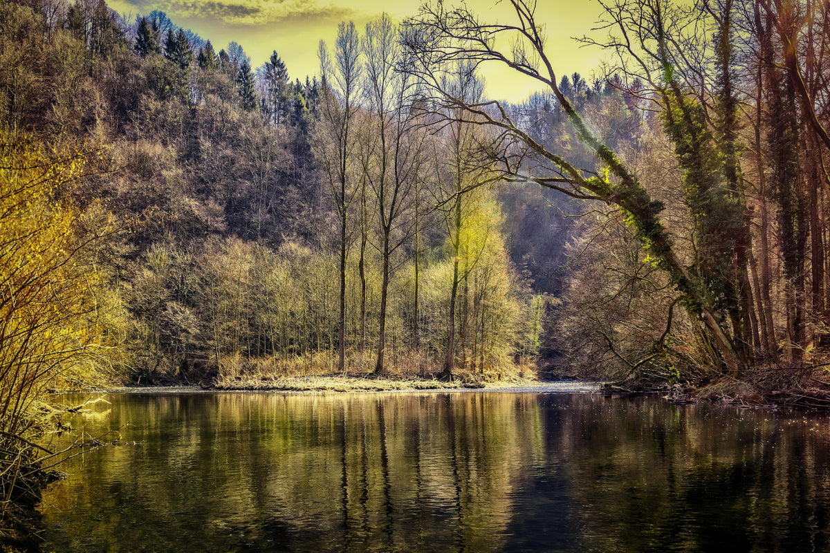 canvas-print-lake-in-the-forest