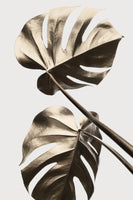 acrylic-print-monstera-gold-08