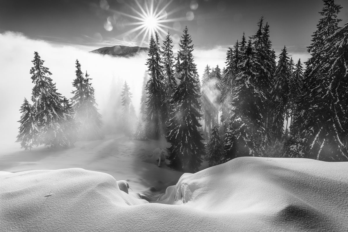 3-piece-canvas-print-a-winter-tale