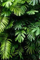 poster-print-green-oasis-of-the-tropics