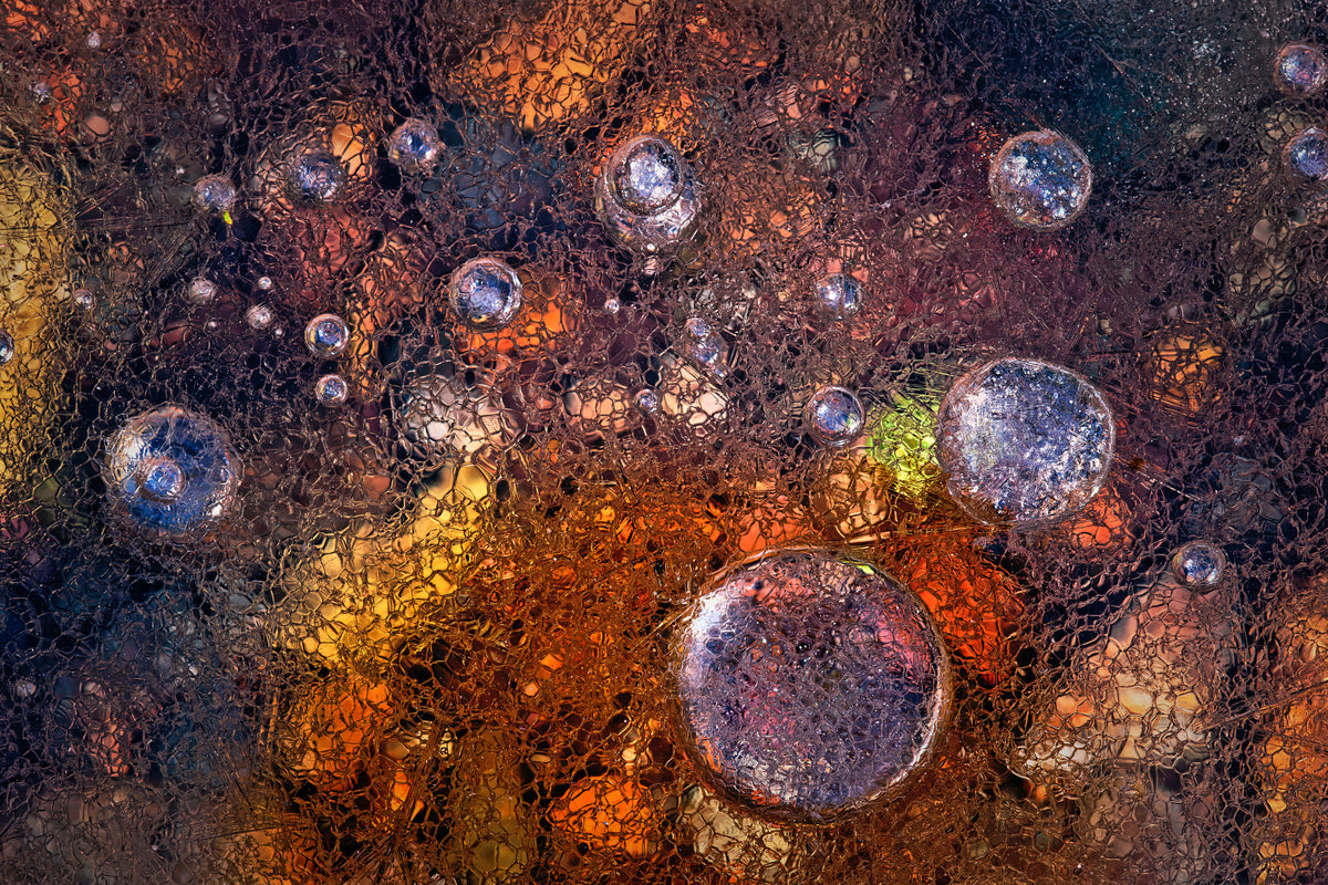 canvas-print-winter-over-autumn