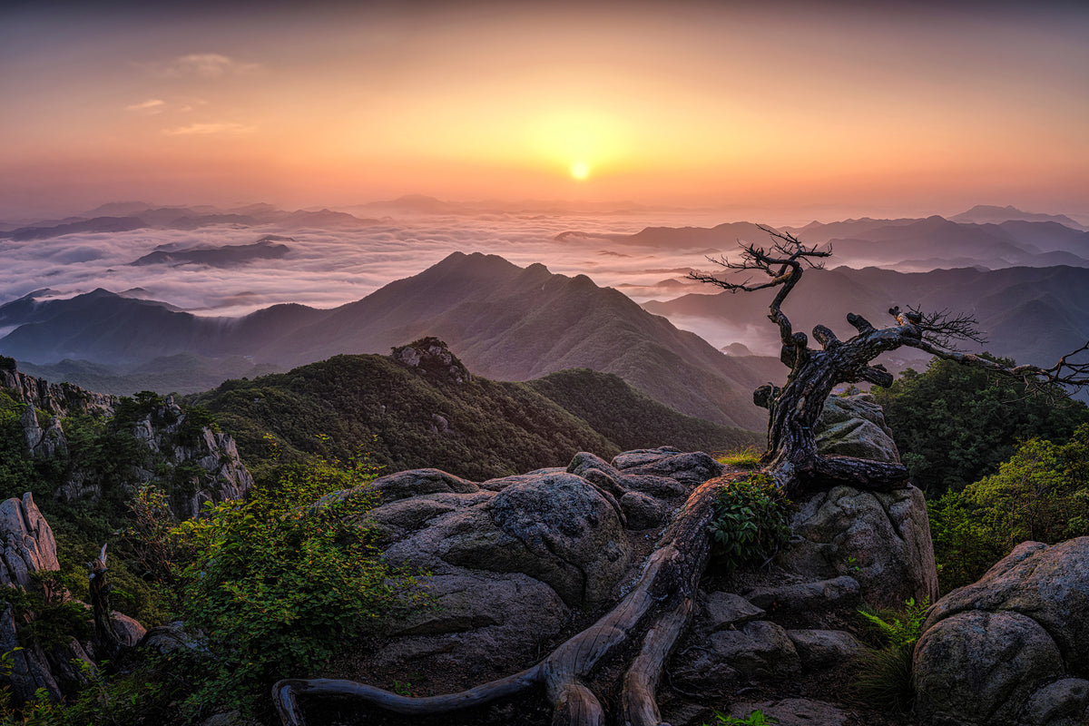 canvas-print-sunrise-on-top-x