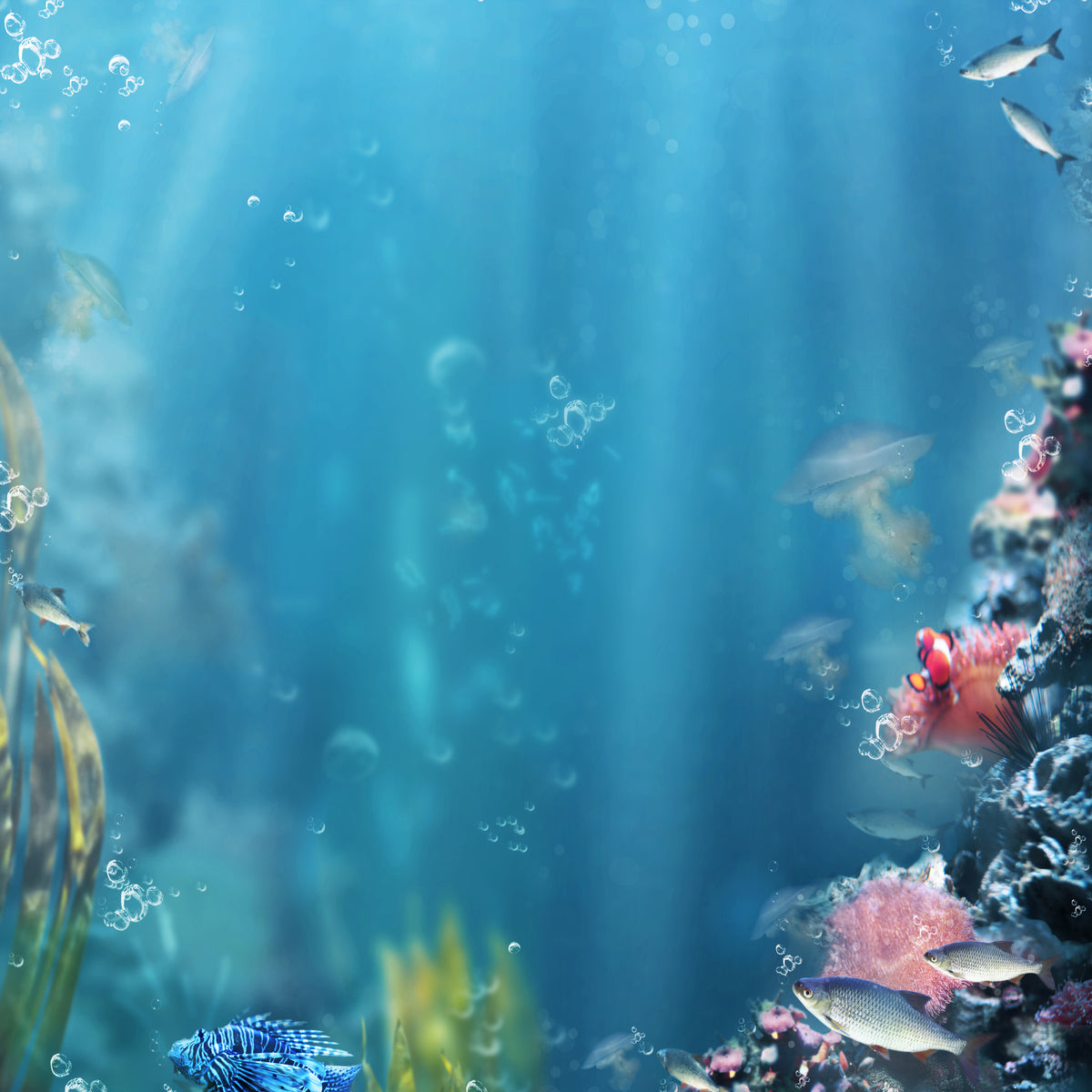 4-piece-acrylic-print-underwater