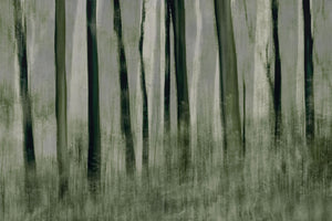 canvas-print-trees-in-motion