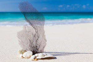 canvas-print-beach-art