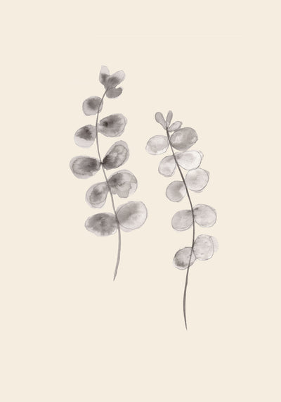 poster-print-eucalyptus-twigs