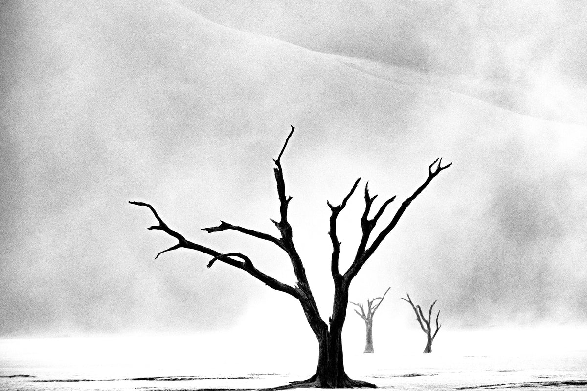 aluminium-print-namibia-the-spirit-of-wilderness-3