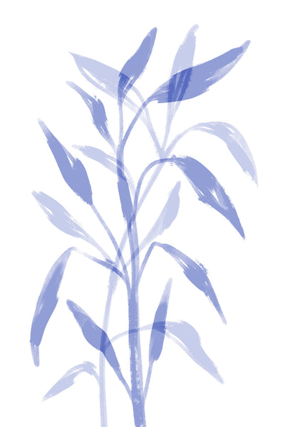 poster-print-gentle-blue-leaves