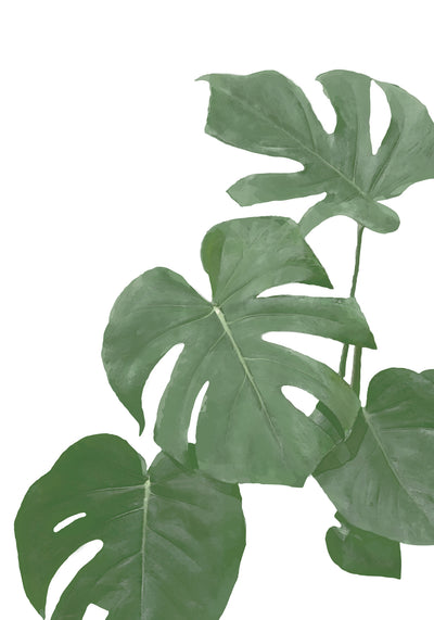 poster-print-monstera-aqua-03